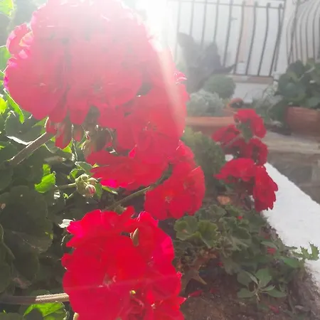 Apartment Dionysios *
