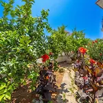 Apartment Dionysios