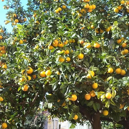 Dionysios Apartmán *